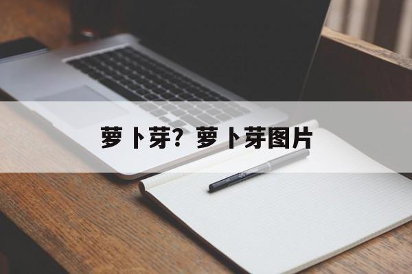萝卜芽？萝卜芽图片-第1张图片-