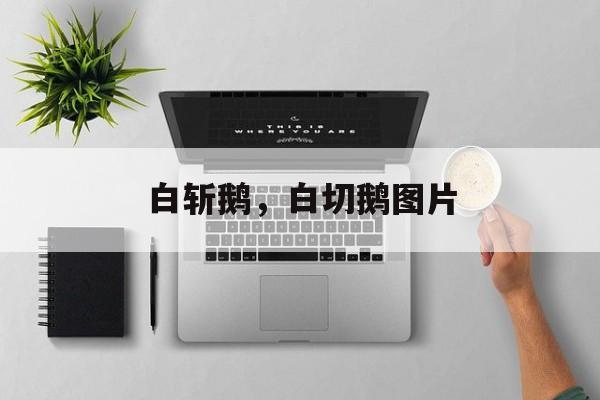 白斩鹅，白切鹅图片-第1张图片-