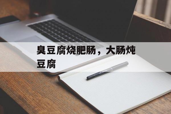 臭豆腐烧肥肠，大肠炖豆腐-第1张图片-