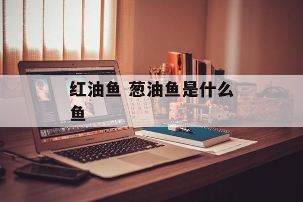 红油鱼 葱油鱼是什么鱼-第1张图片-