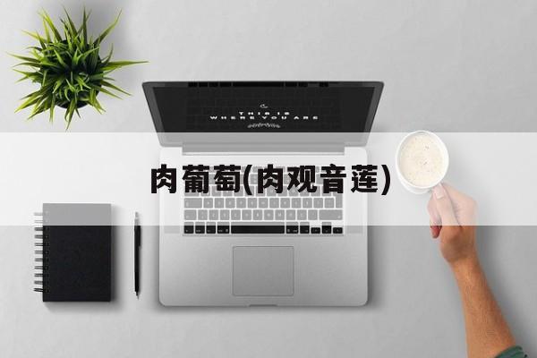 肉葡萄(肉观音莲)-第1张图片-