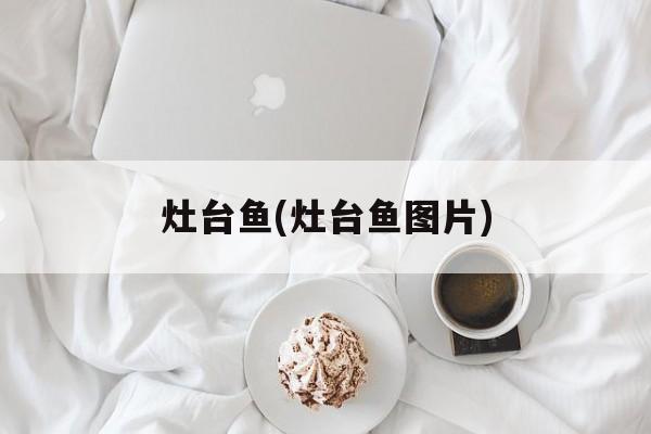灶台鱼(灶台鱼图片)-第1张图片-