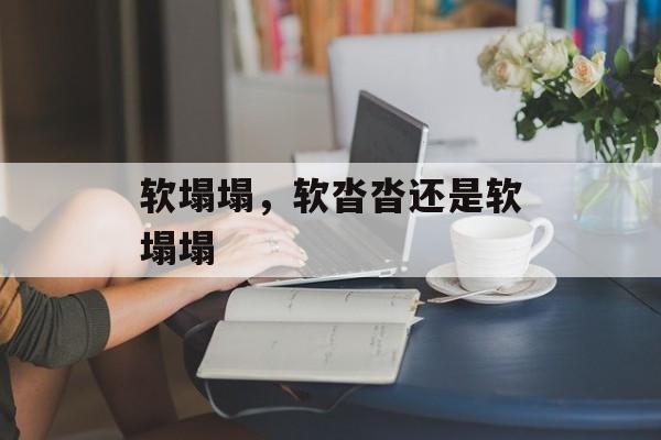 软塌塌，软沓沓还是软塌塌-第1张图片-