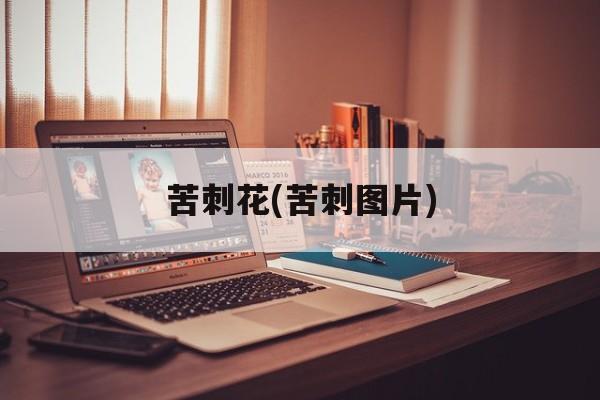 苦刺花(苦刺图片)-第1张图片-