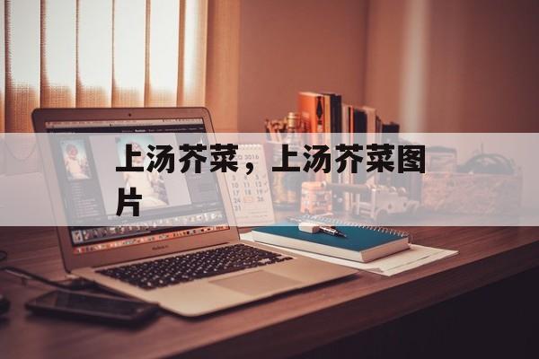 上汤芥菜，上汤芥菜图片-第1张图片-