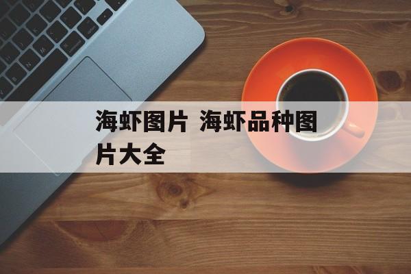 海虾图片 海虾品种图片大全-第1张图片-