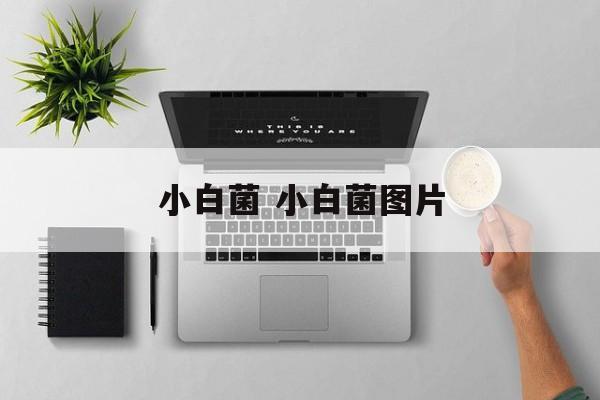 小白菌 小白菌图片-第1张图片-