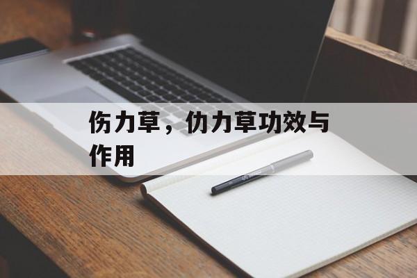 伤力草，仂力草功效与作用-第1张图片-