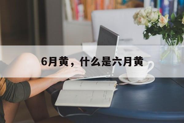 6月黄，什么是六月黄-第1张图片-