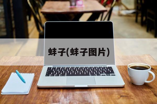 蚌子(蚌子图片)-第1张图片-