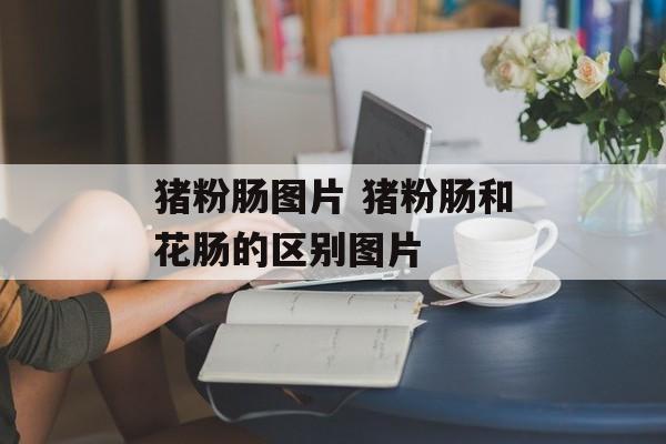 猪粉肠图片 猪粉肠和花肠的区别图片-第1张图片-