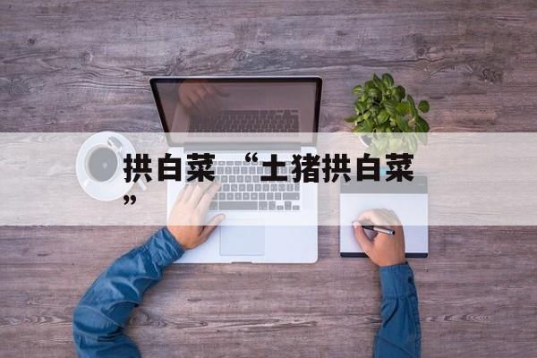 拱白菜 “土猪拱白菜”-第1张图片-