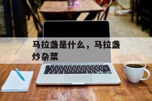 马拉盏是什么，马拉盏炒杂菜-第1张图片-