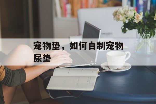 宠物垫，如何自制宠物尿垫-第1张图片-