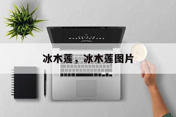冰木莲，冰木莲图片-第1张图片-