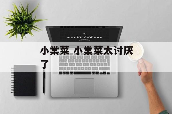 小棠菜 小棠菜太讨厌了-第1张图片-