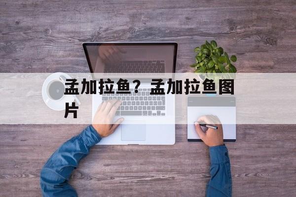 孟加拉鱼？孟加拉鱼图片-第1张图片-