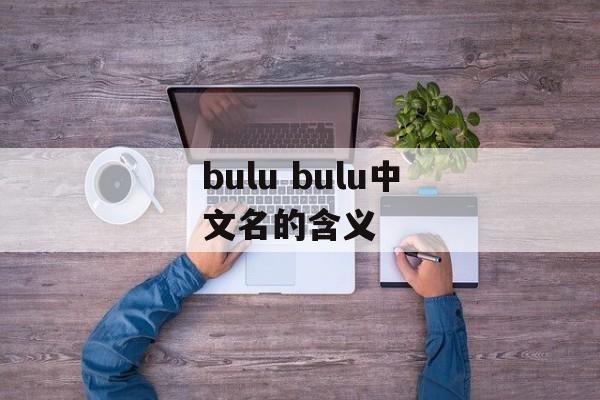 bulu bulu中文名的含义-第1张图片-
