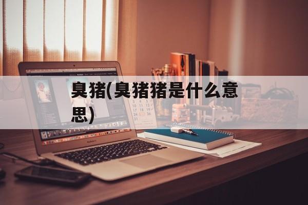 臭猪(臭猪猪是什么意思)-第1张图片-