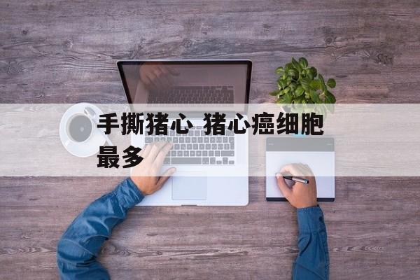 手撕猪心 猪心癌细胞最多-第1张图片-