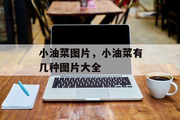 小油菜图片，小油菜有几种图片大全-第1张图片-