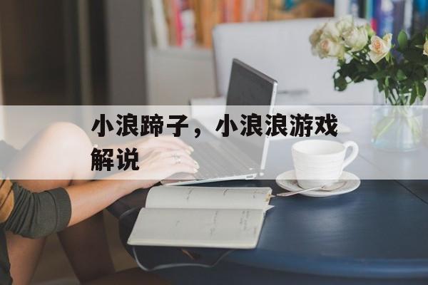 小浪蹄子，小浪浪游戏解说-第1张图片-