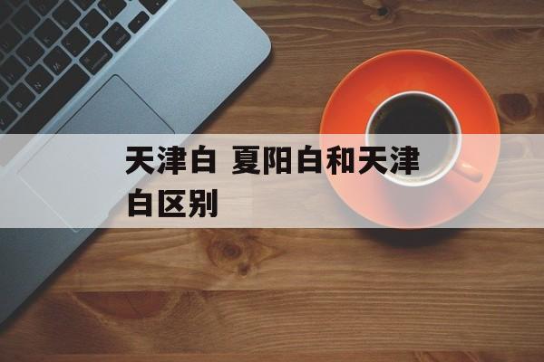 天津白 夏阳白和天津白区别-第1张图片-