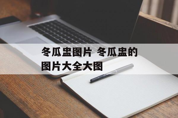 冬瓜盅图片 冬瓜盅的图片大全大图-第1张图片-