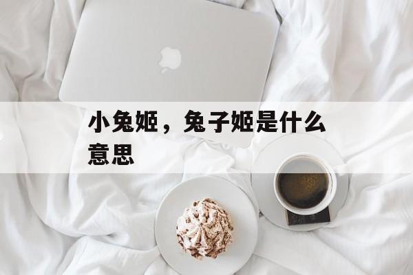 小兔姬，兔子姬是什么意思-第1张图片-