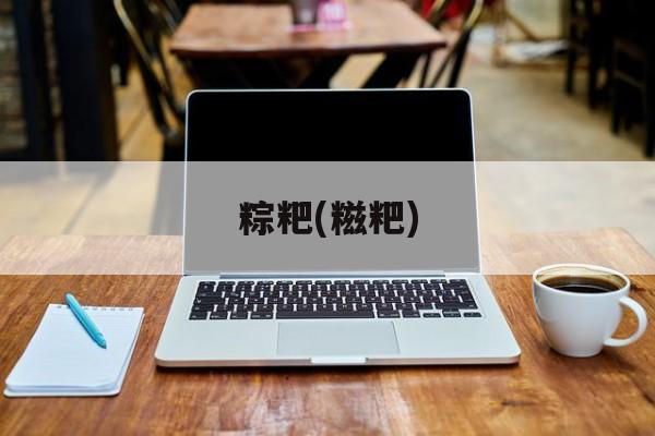 粽粑(糍粑)-第1张图片-