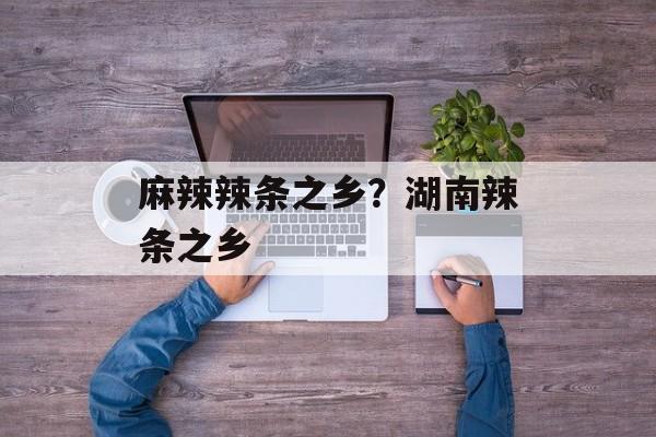 麻辣辣条之乡？湖南辣条之乡-第1张图片-