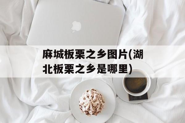 麻城板栗之乡图片(湖北板栗之乡是哪里)-第1张图片-