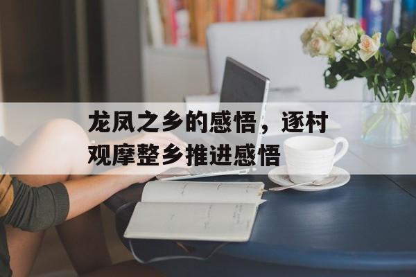 龙凤之乡的感悟，逐村观摩整乡推进感悟-第1张图片-