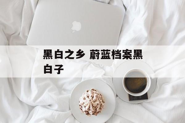 黑白之乡 蔚蓝档案黑白子-第1张图片-