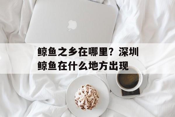 鲸鱼之乡在哪里？深圳鲸鱼在什么地方出现-第1张图片-