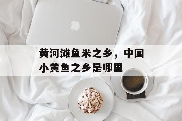 黄河滩鱼米之乡，中国小黄鱼之乡是哪里-第1张图片-