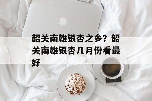 韶关南雄银杏之乡？韶关南雄银杏几月份看最好-第1张图片-