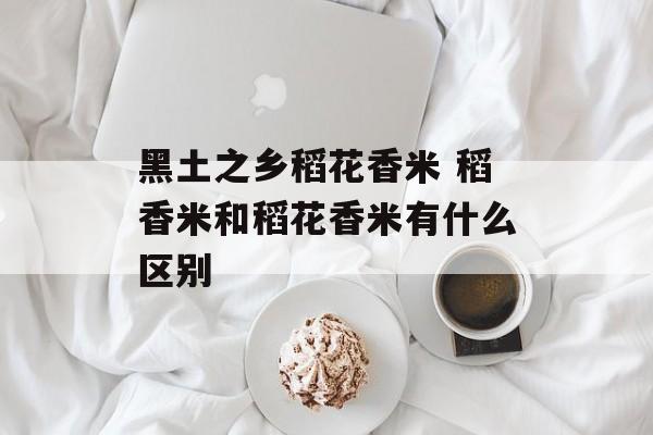 黑土之乡稻花香米 稻香米和稻花香米有什么区别-第1张图片-
