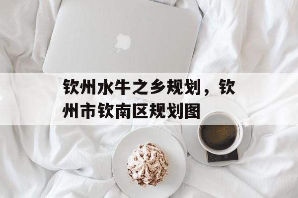 钦州水牛之乡规划，钦州市钦南区规划图-第1张图片-