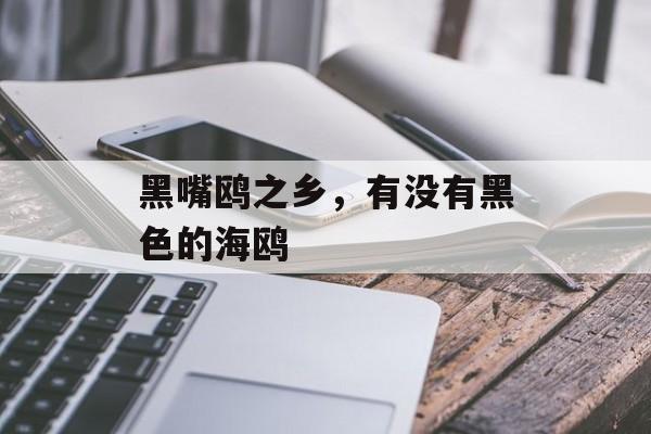 黑嘴鸥之乡，有没有黑色的海鸥-第1张图片-
