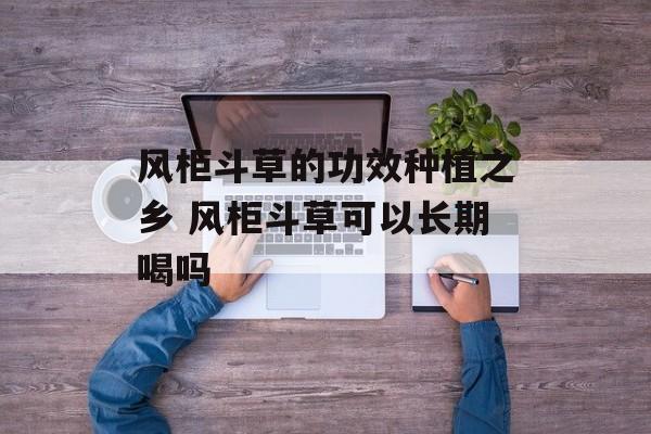 风柜斗草的功效种植之乡 风柜斗草可以长期喝吗-第1张图片-