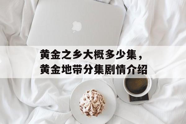 黄金之乡大概多少集，黄金地带分集剧情介绍-第1张图片-