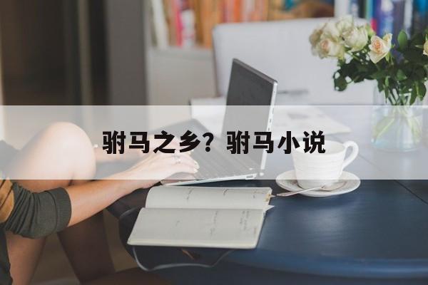 驸马之乡？驸马小说-第1张图片-