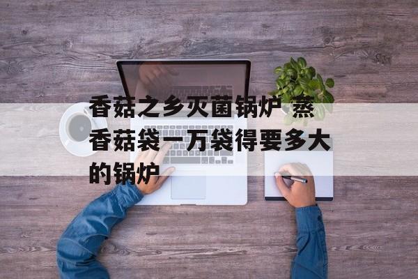 香菇之乡灭菌锅炉 蒸香菇袋一万袋得要多大的锅炉-第1张图片-