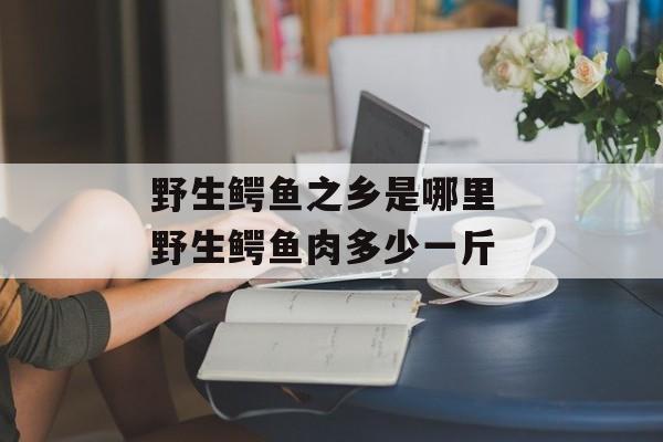 野生鳄鱼之乡是哪里 野生鳄鱼肉多少一斤-第1张图片-