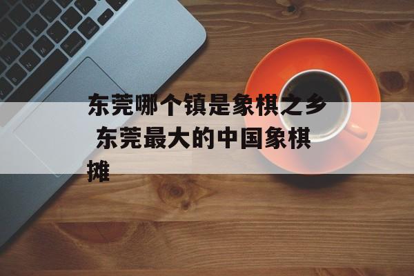 东莞哪个镇是象棋之乡 东莞最大的中国象棋摊-第1张图片-