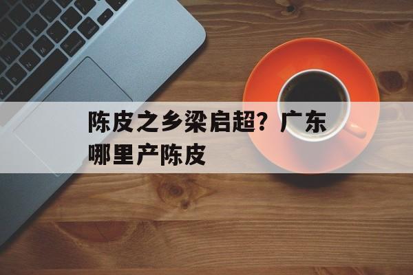 陈皮之乡梁启超？广东哪里产陈皮-第1张图片-
