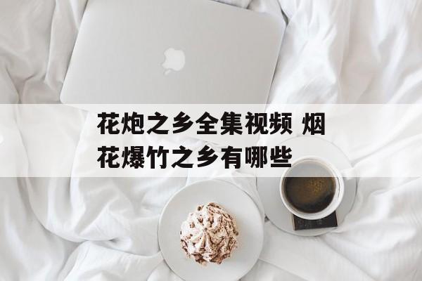 花炮之乡全集视频 烟花爆竹之乡有哪些-第1张图片-