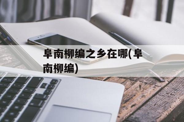 阜南柳编之乡在哪(阜南柳编)-第1张图片-