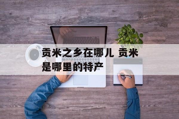 贡米之乡在哪儿 贡米是哪里的特产-第1张图片-